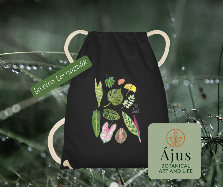 Ájus Botanical termékek