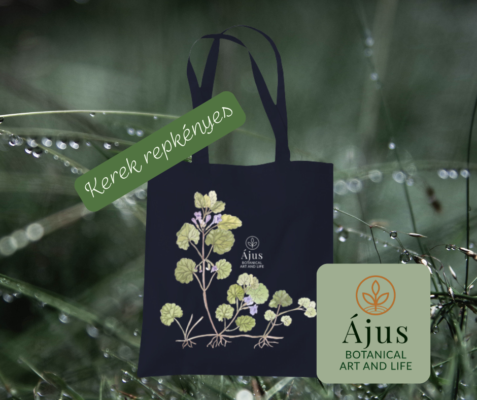 Ájus Botanical termékek