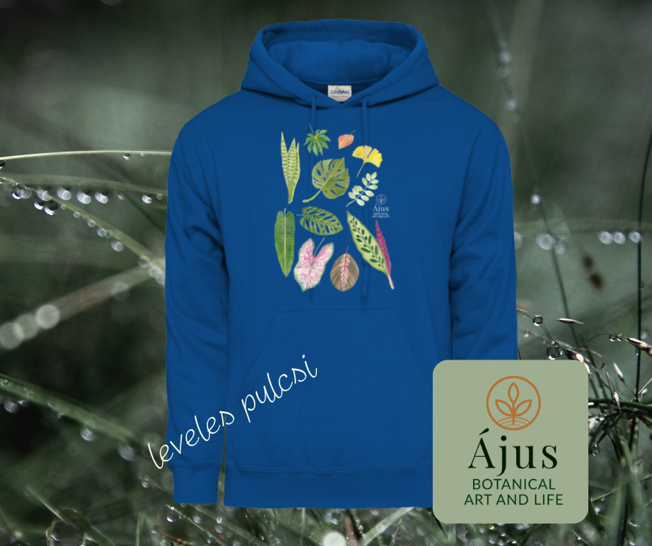 Ájus Botanical termékek